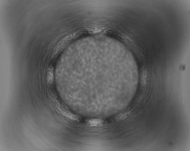 X0000112000085200909141112