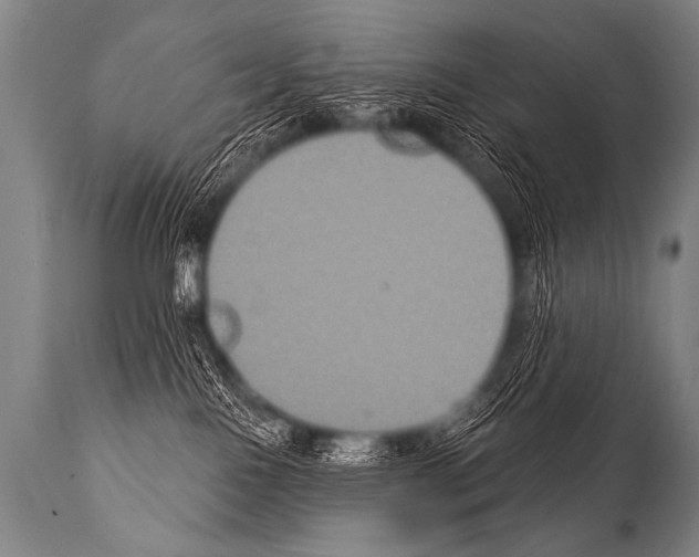 X0000112000090200909141112