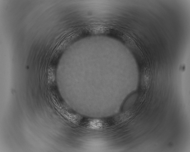 X0000112000091200909141112