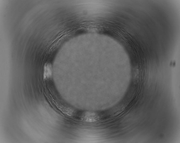 X0000112000095200909141112