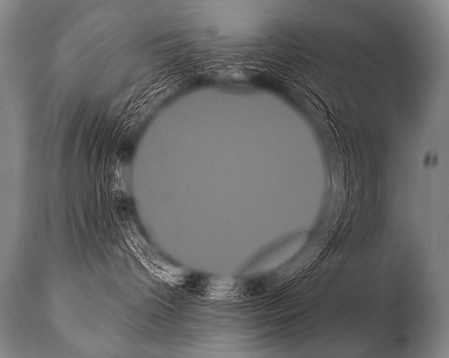 X0000112000096200909141112