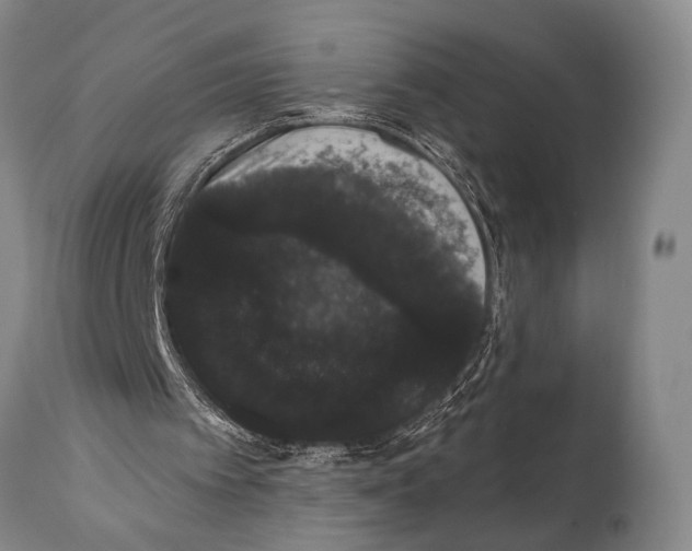 X0000112000097200909141111