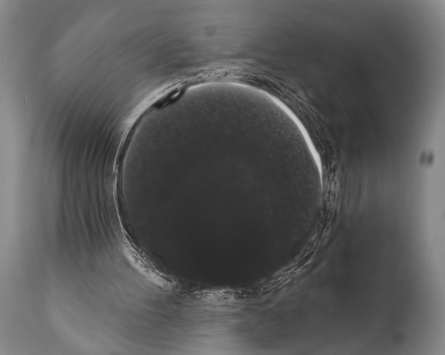 X0000112000100200909141111