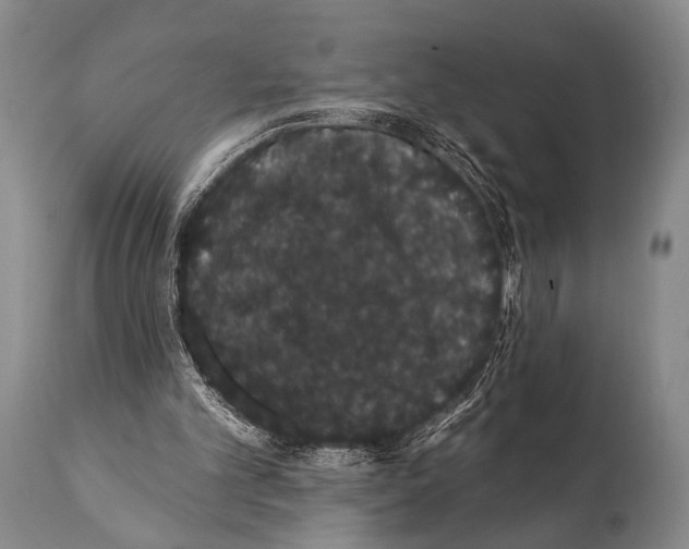 X0000112000101200909141111