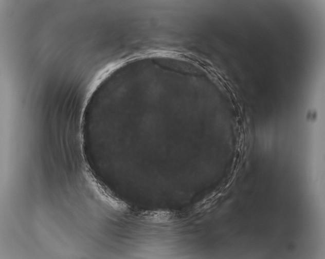 X0000112000104200909141111