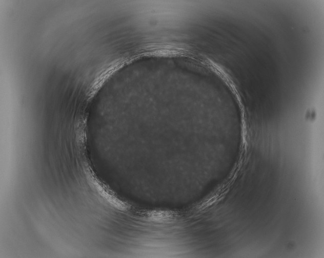 X0000112000105200909141111