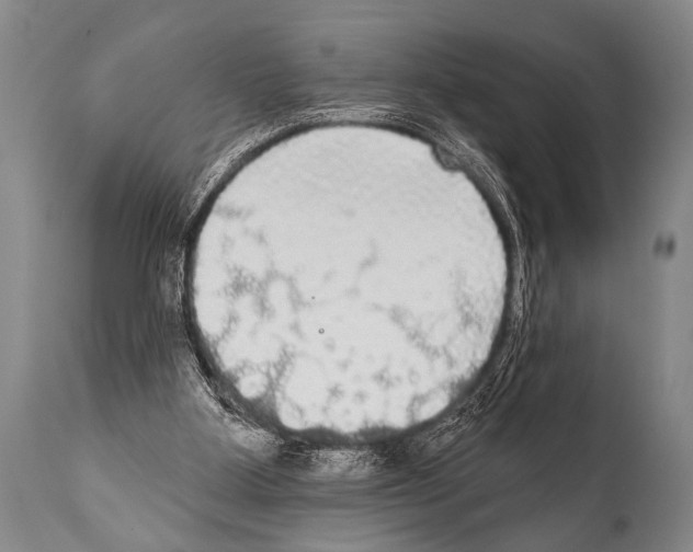 X0000112000107200909141111