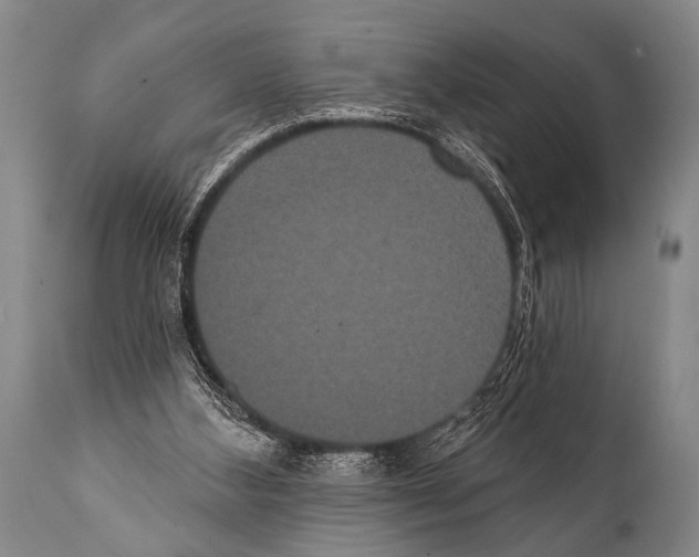 X0000112000108200909141111