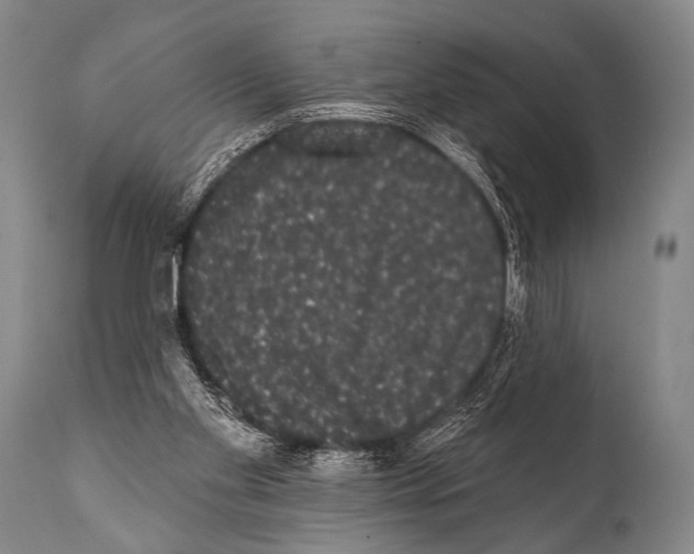 X0000112000109200909141111