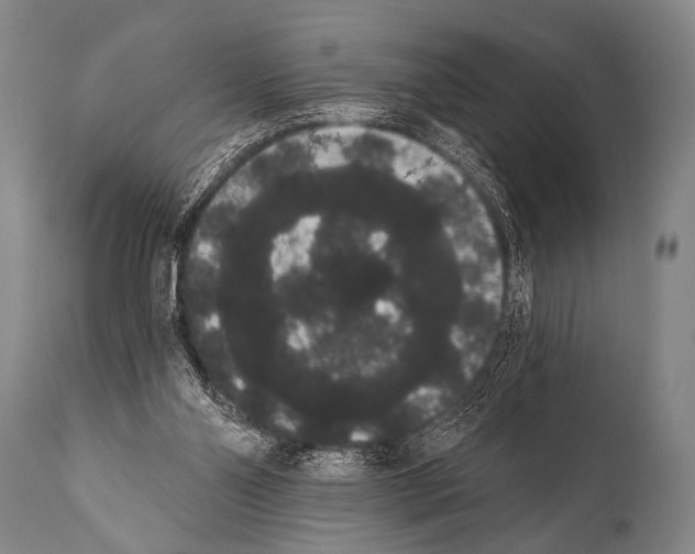 X0000112000110200909141111