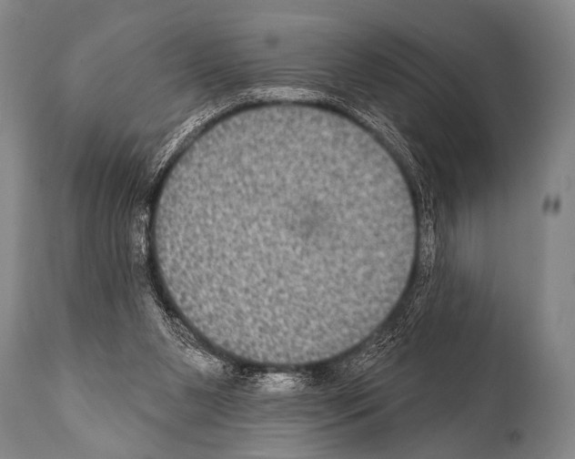 X0000112000111200909141111