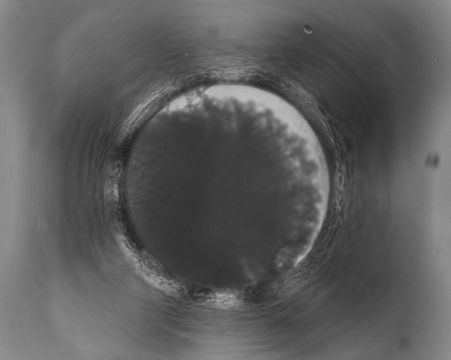 X0000112000114200909141111