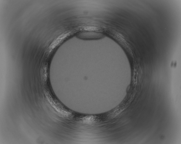 X0000112000116200909141111