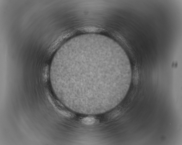 X0000112000119200909141111