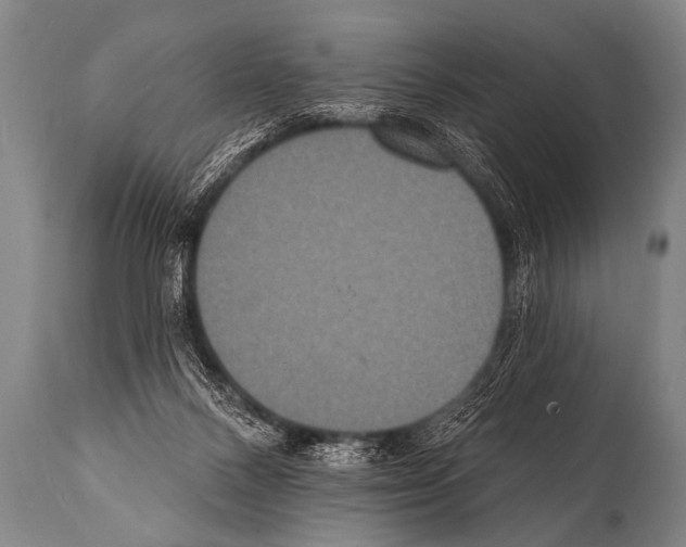 X0000112000120200909141111