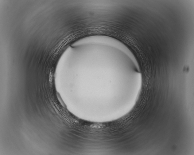 X0000112000124200909141111