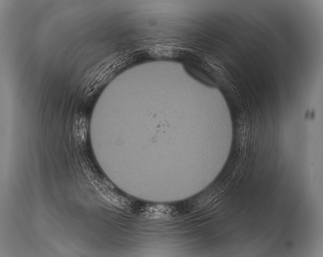 X0000112000125200909141111