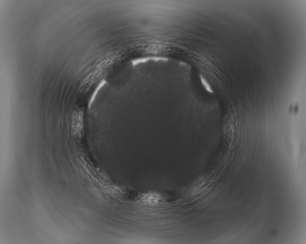 X0000112000127200909141111