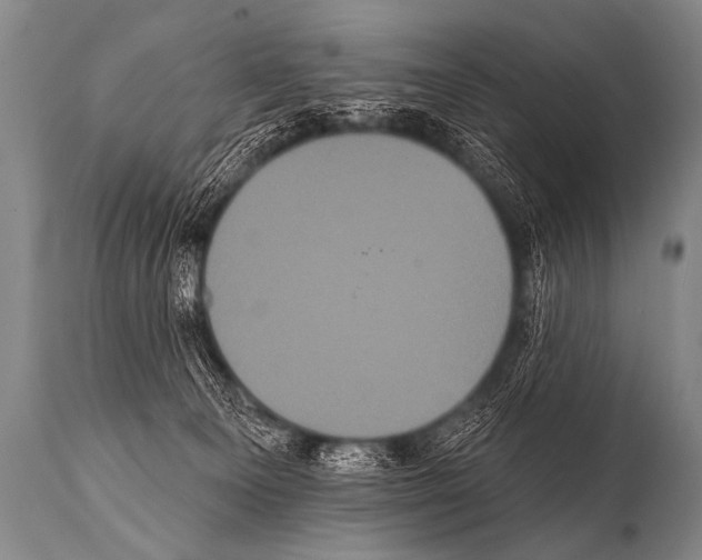 X0000112000129200909141111