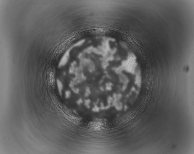 X0000112000131200909141111