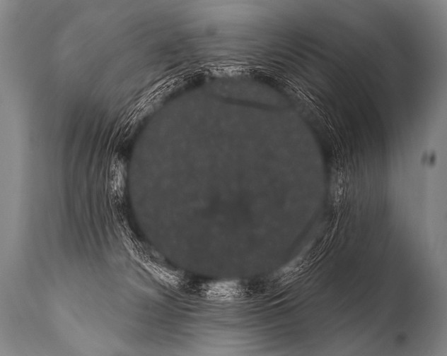 X0000112000132200909141111