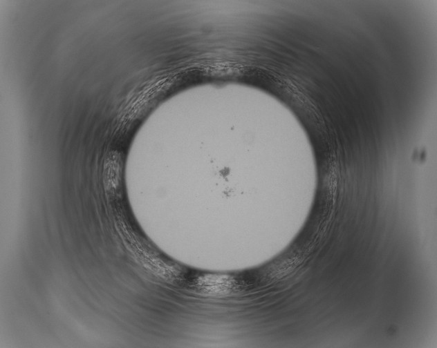 X0000112000133200909141111