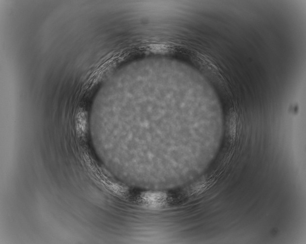 X0000112000135200909141111