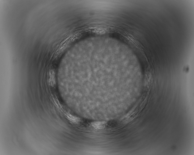 X0000112000136200909141111