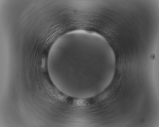 X0000112000139200909141111