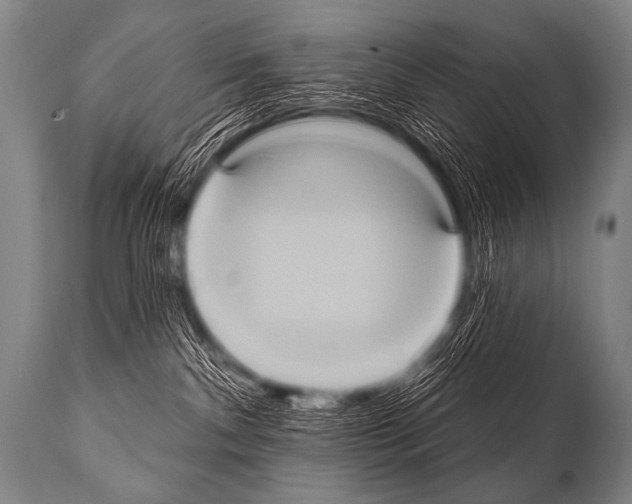 X0000112000140200909141111