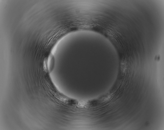 X0000112000143200909141110