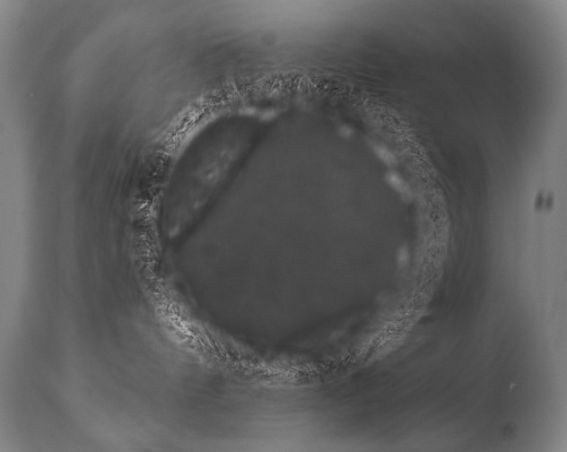 X0000112000144200909141110