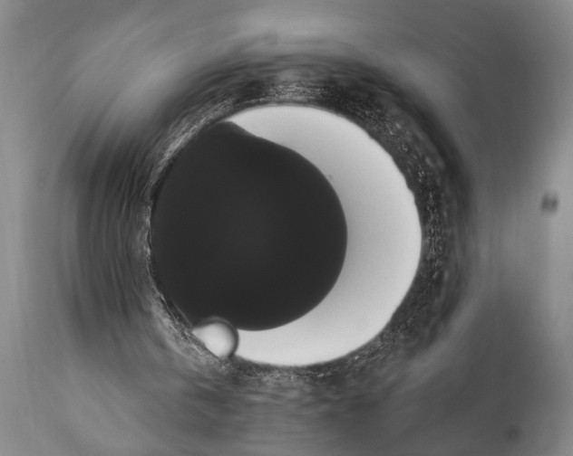 X0000112000146200909141110