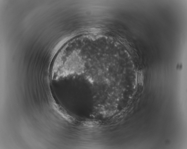 X0000112000147200909141110