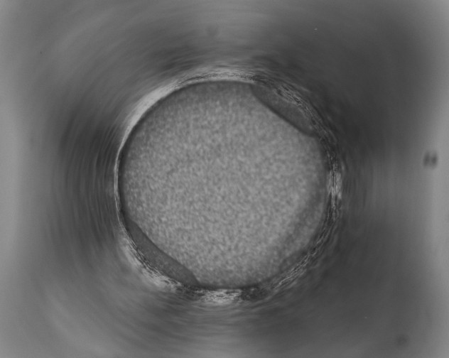 X0000112000148200909141110