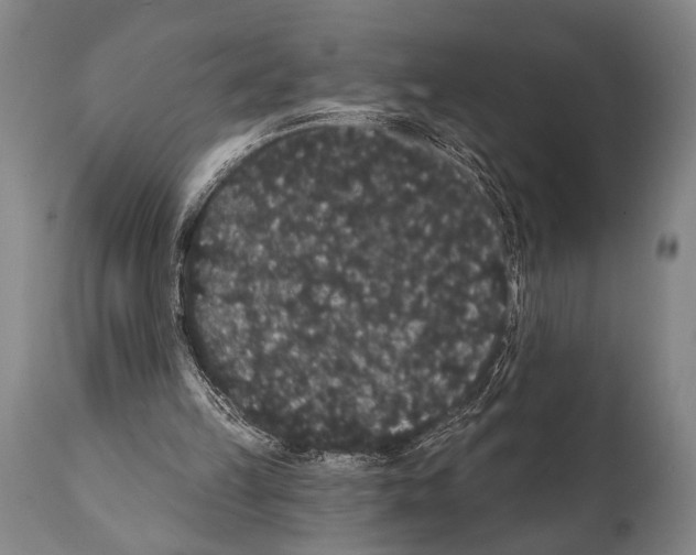 X0000112000149200909141110