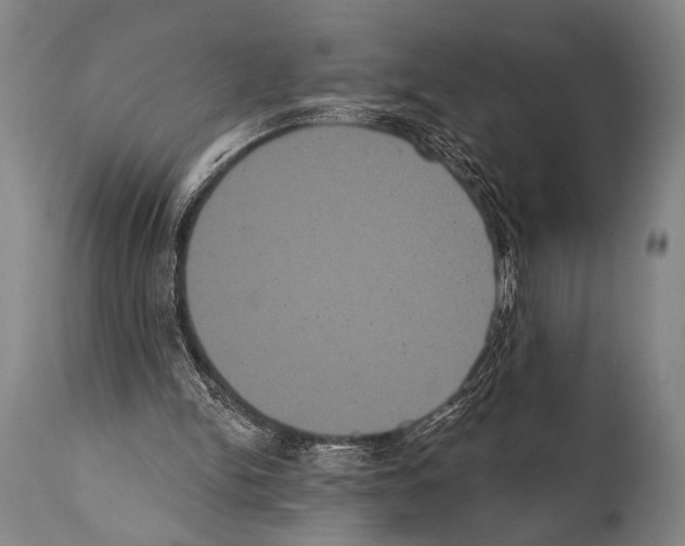 X0000112000150200909141110