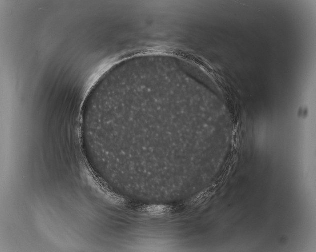 X0000112000152200909141110