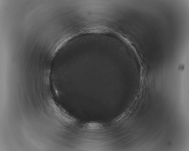 X0000112000154200909141110