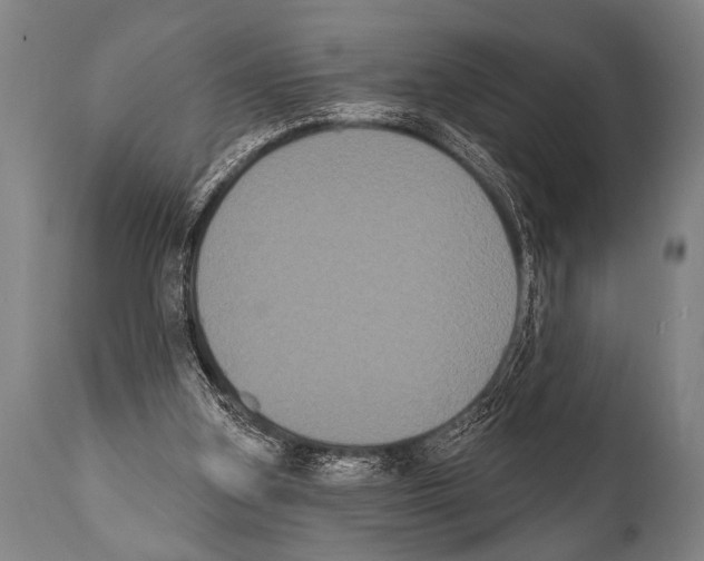 X0000112000155200909141110