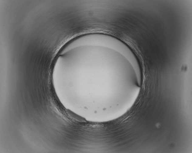 X0000112000156200909141110