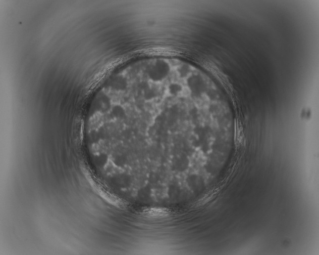 X0000112000157200909141110