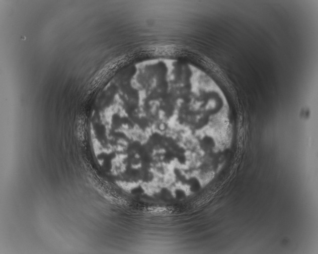 X0000112000161200909141110