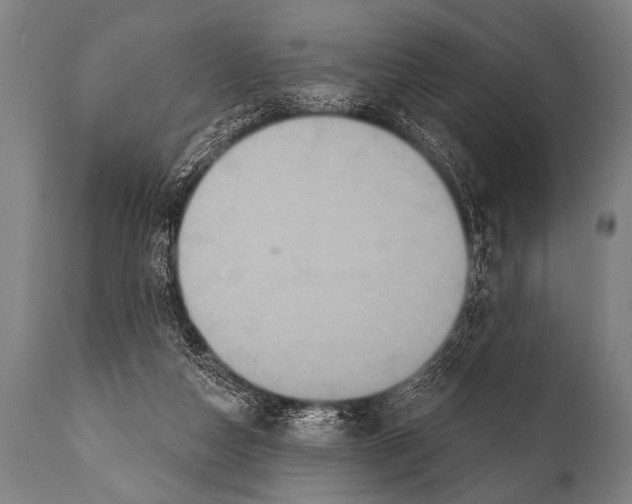 X0000112000162200909141110