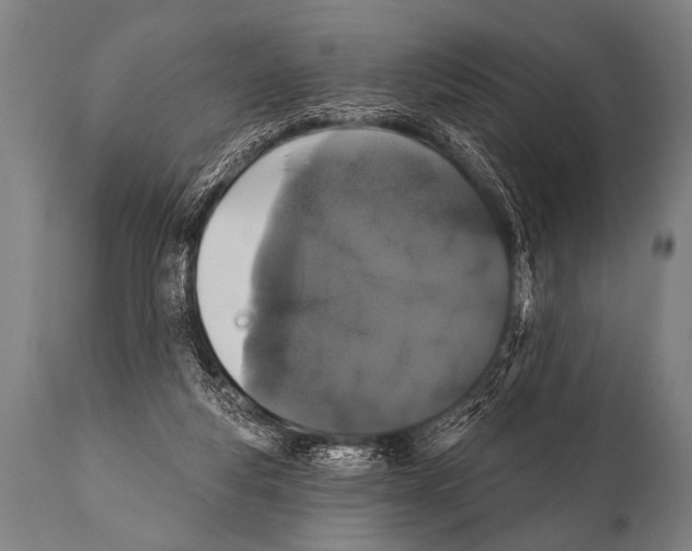 X0000112000163200909141110