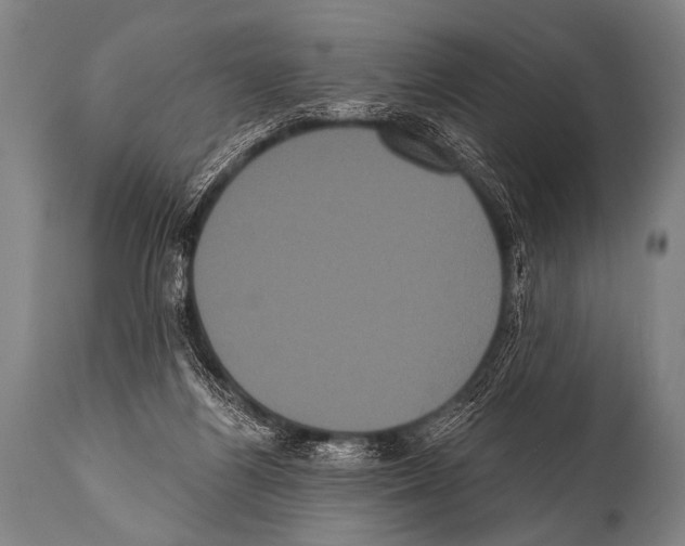 X0000112000164200909141110