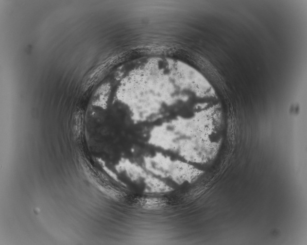 X0000112000165200909141110