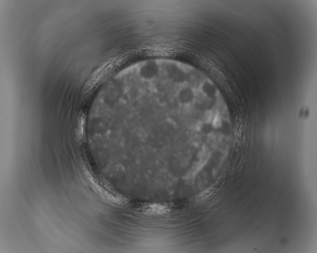 X0000112000166200909141110