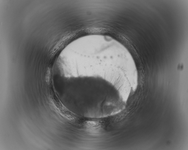 X0000112000167200909141110