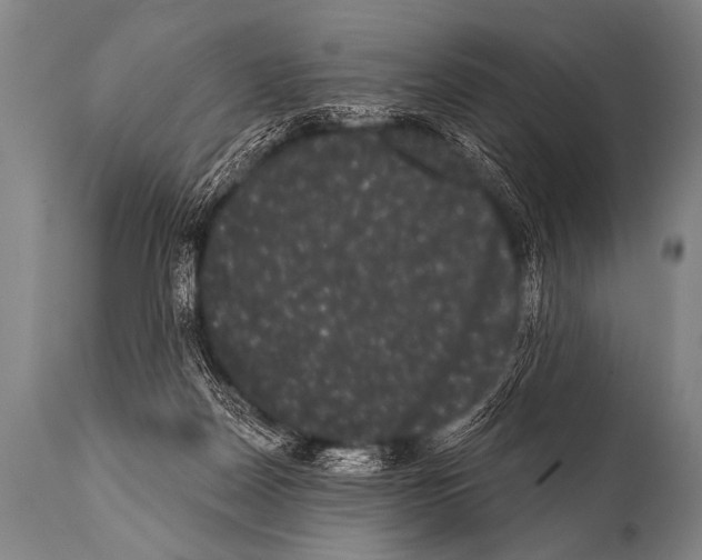 X0000112000170200909141110